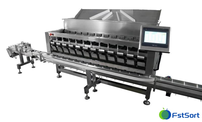 blueberry packing line.jpg blueberry packing line.jpg